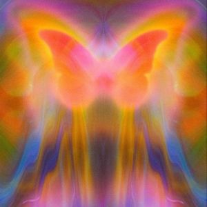 Meet your Posher, Ti